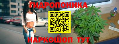 стафф Новозыбков