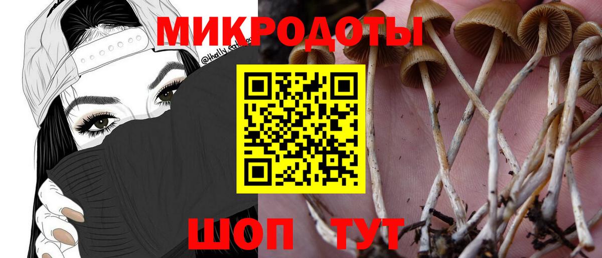 Псилоцибиновые грибы GOLDEN TEACHER  Вход с VPN  Самара  где найти   Галлюциногенные грибы GOLDEN TEACHER 